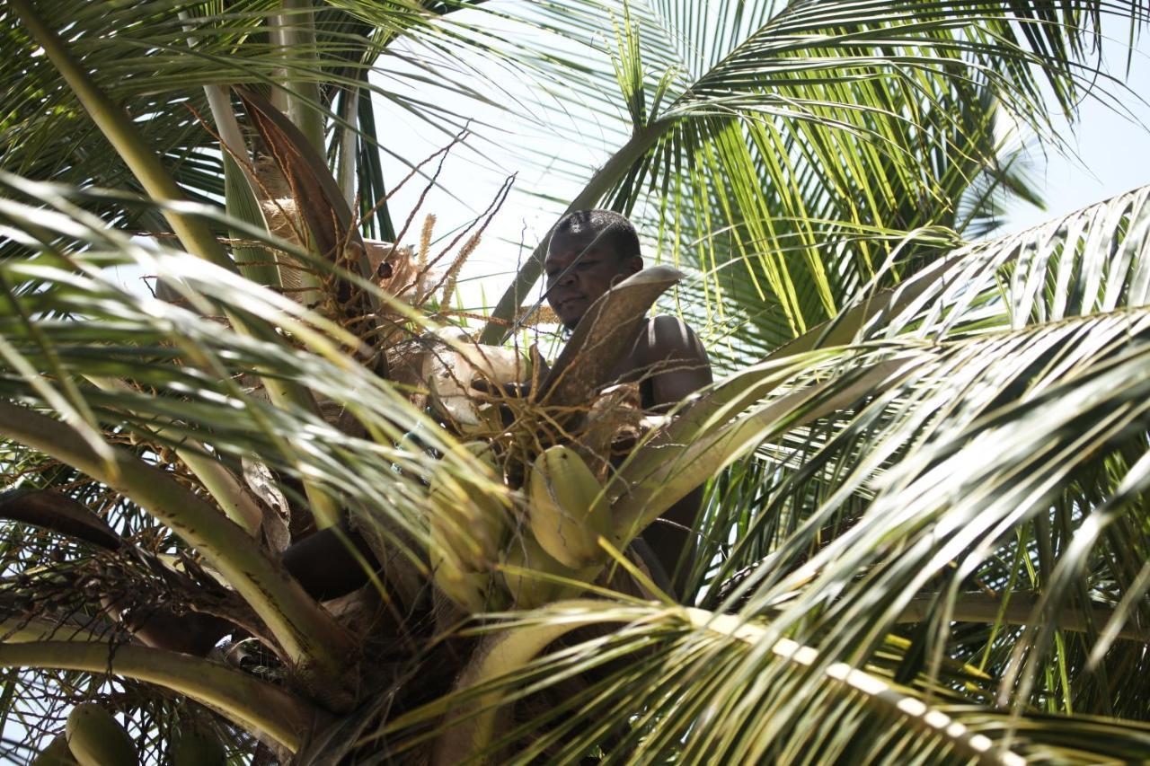 Coconut Village Beach Resort Diani Beach Exteriör bild