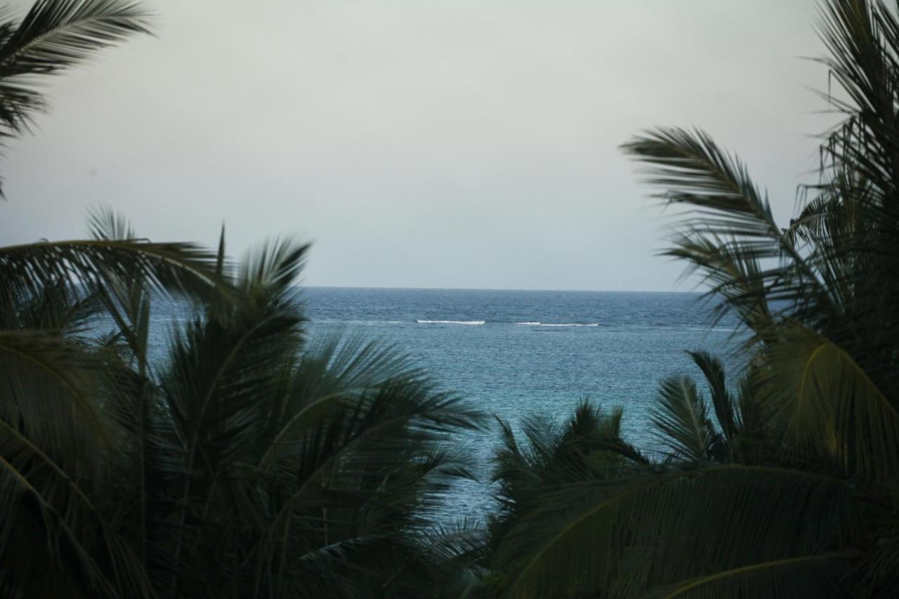 Coconut Village Beach Resort Diani Beach Exteriör bild